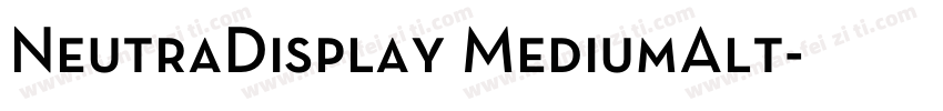 NeutraDisplay MediumAlt字体转换